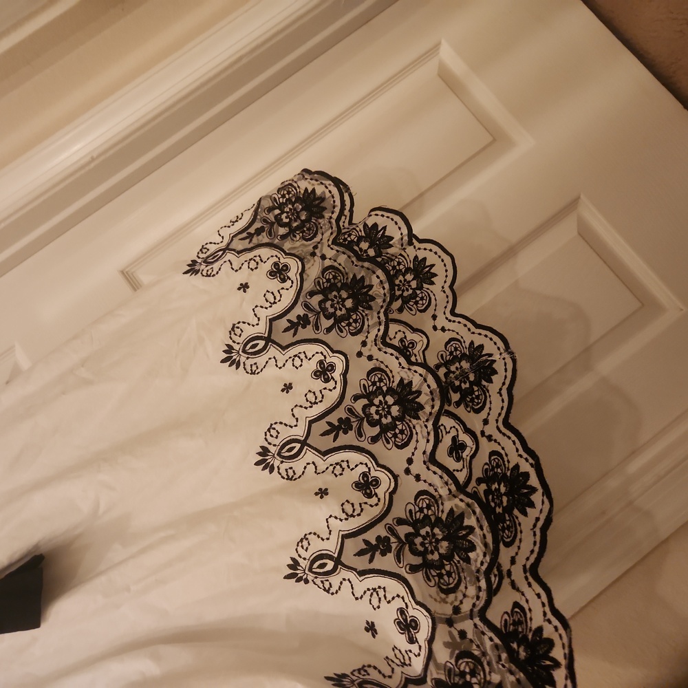 Torrid Embroidery and Toile Bottom Flutter Hemline Dress - Picture 2 of 8